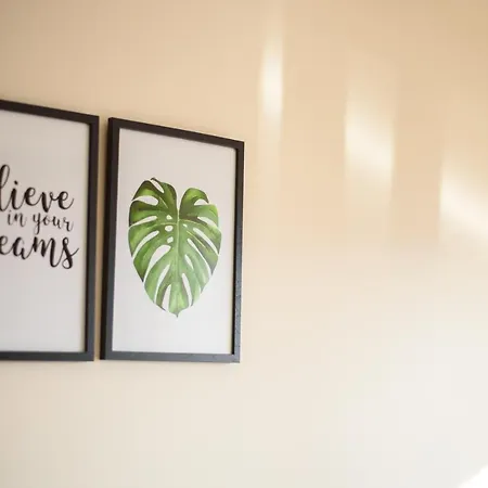 Jaman - * Novi Pazar